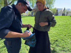 В Тирасполе задержали женщину - она пыталась отправить детей кексами с крысиным ядом