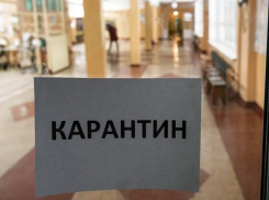 Все образовательные учреждения страны закрывают на карантин