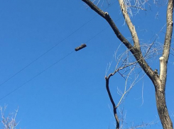 Смертельную опасность у детского сада сняла на видео жительница Кишинева 