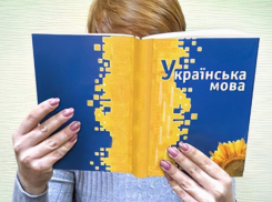 Минобразования Молдовы утвердило план по продвижению украинского языка в школах