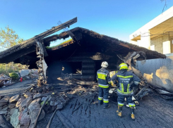 Пламя и перерождение: Волошин пообещал возродить «Тайгу под новым именем