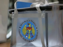 Диаспора намерена повлиять на выборы в Молдове