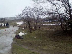 Смертельное поздравление: двое мужчин на 8 Марта сломали 11 ребер жительнице Одесской области 