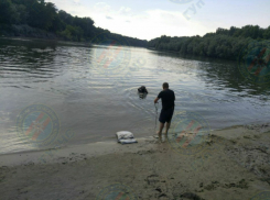 Девочка 11 лет ушла под воду, купаясь в Днестре