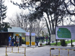 Кишинев обновляется: вход в «Дендрарий» будет обновлен