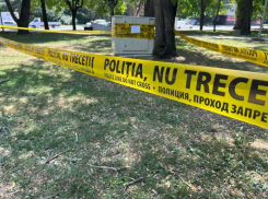 Двойное убийство в Резинском районе: тела матери и дочери нашли в кукурузном поле