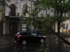 Чудовищные последствия стихии в Кишиневе: две сотни поваленных деревьев, эвакуированные машины, оборванные провода 