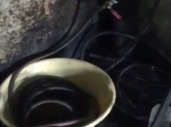 Подпольный цех по производству контрафактного алкоголя в Кишиневе сняли на видео