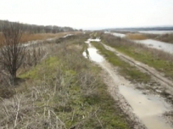 Пришедшая в ужасное состояние река Ботна затопила Каушаны