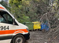 Сильный ветер повалил дерево на женщину в Кишиневе 