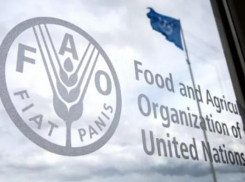 Крупный еврофорум перенесли из Кишинева в Рим из-за отказа властей Молдовы принимать российских участников