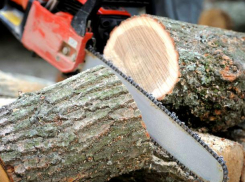 Страшная смерть - мужчина перерезал себе горло бензопилой