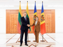 Майя Санду и глава правительства Литвы обсудили вопросы безопасности и пути европейской интеграции Молдовы