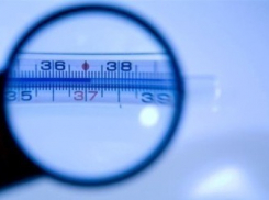 В Молдове от гриппа уже скончались два человека