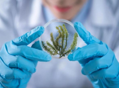 Молодые люди в Молдове не хотят быть учеными