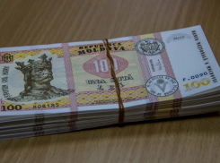 Семье погибшего от падения дерева мужчины примэрия выплатит 20 тысяч леев