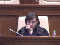 Парламентское большинство отказалось отправить Фусу в отставку