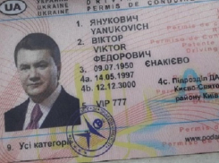 Виктор Янукович катался по Харькову на BMW и был схвачен полицейскими