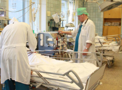 Мужчина сломал позвоночник, а женщина порвала селезенку при падениях с ореховых деревьев