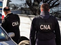 В лесных хозяйствах Оргеевского района прошли обыски 