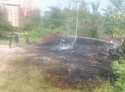 Столичные власти назвали поджог причиной резонансного пожара у торгового центра