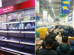  Ала Немеренко: голод полезен для организма, а реанимационная койка – нет