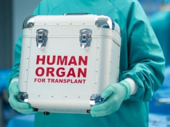 Молдова будет осуществлять обмен органами для трансплантации с международными медучреждениями 