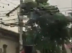 Провода троллейбусной линии загорелись на оживленном перекрестке в центре столицы