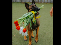 Пограничники вручают прибывшим в Молдову мэрцишоры
