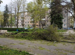 Ребёнок, пострадавший в зоопарке Кишинёва, находится в реанимации: состояние тяжёлое