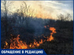 В Тараклийском районе горит растительность