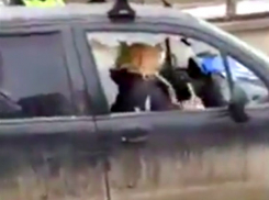 Блондинка изрубила топором свою машину на глазах плачущего ребенка  