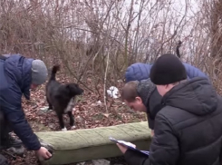 Тройное убийство: украинец зарубил топором обидчиков и зарезал мать преступника