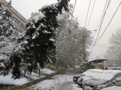 Кишиневцы не устают делиться впечатлениями: деревья продолжают падать, опасность везде