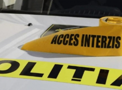 Убийство в Теленештах: пропавшего мужчину нашли мертвым в поле