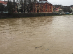 Закарпатье: «поплыло в Европу»: жуткий паводок - вода повредила мост и затопила дороги