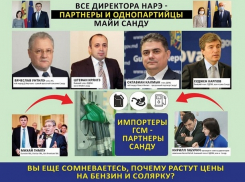 У глав НАРЭ, как и у судей КС, крыша самого президента! 