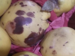 Горы испорченных фруктов и овощей обнаружили в супермаркетах Кишинева и Бельц