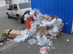 Столичные мусорные баки заполнены пакетами с выброшенной едой