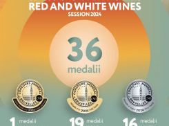 Успех молдавских вин на международной арене