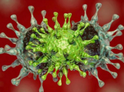 В Молдове выявлено 2068 новых случаев COVID-19  