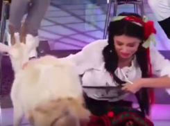 Испытание козой секс-бомбы из Молдовы на шоу «Дом-2» сняли на видео