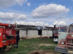 Трагическое происшествие в Теленештах - 120 цыплят сгорели в пожаре на птицефабрике