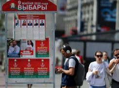 Двое депутатов парламента РМ назначены наблюдателями на выборах президента в Беларуси