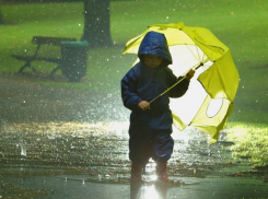 Воскресенье будет жарким, но дождливым 