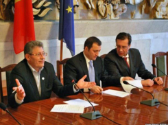 28 ноября 2010 - досрочные парламентские выборы, АЕИ-2