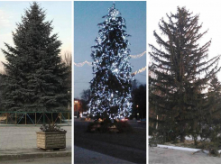 В соцсети сравнили новогодние елки Кишинева, Сынджеры и Ниспорен