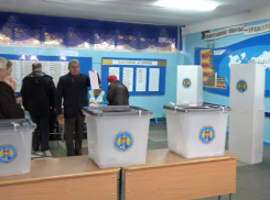 Гимпу проголосовал на выборах за Иона и Дойну Алдя-Теодорович, а также за море и горы 