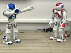 Возлюбленная молдавского робота Франка оказалась оптимисткой