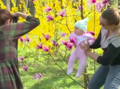 Секрет лучших фотосессий с цветущими магнолиями раскрыла жительница Кишинева